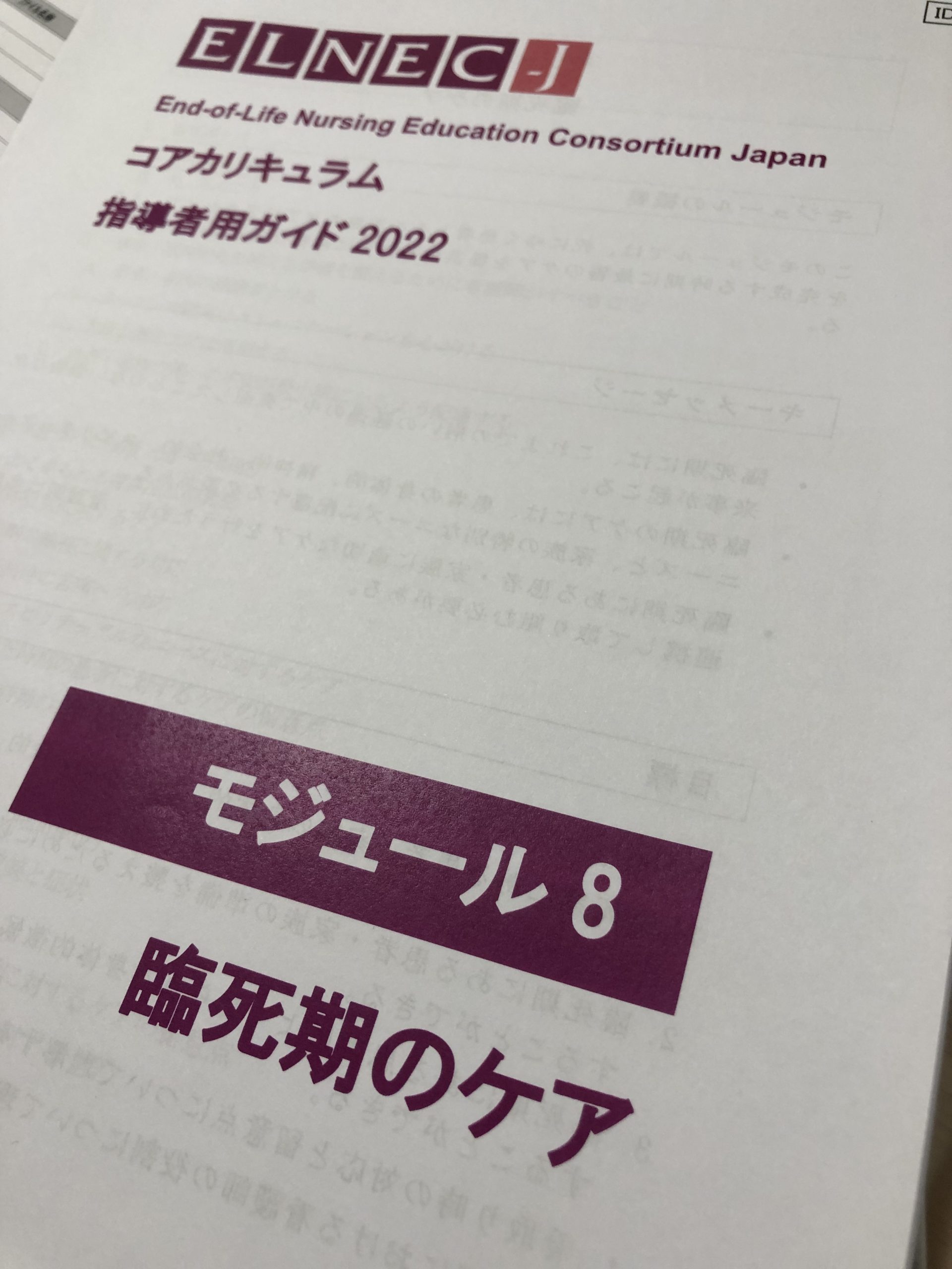 公益財団法人日本訪問看護財団立ELNEC-Jコアカリキュラム看護師